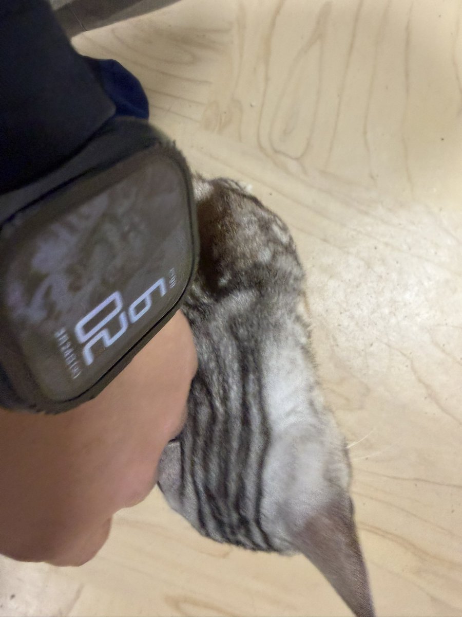 たけまん tweet media