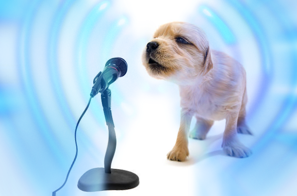 sadie 🏳️‍⚧️ tweet media