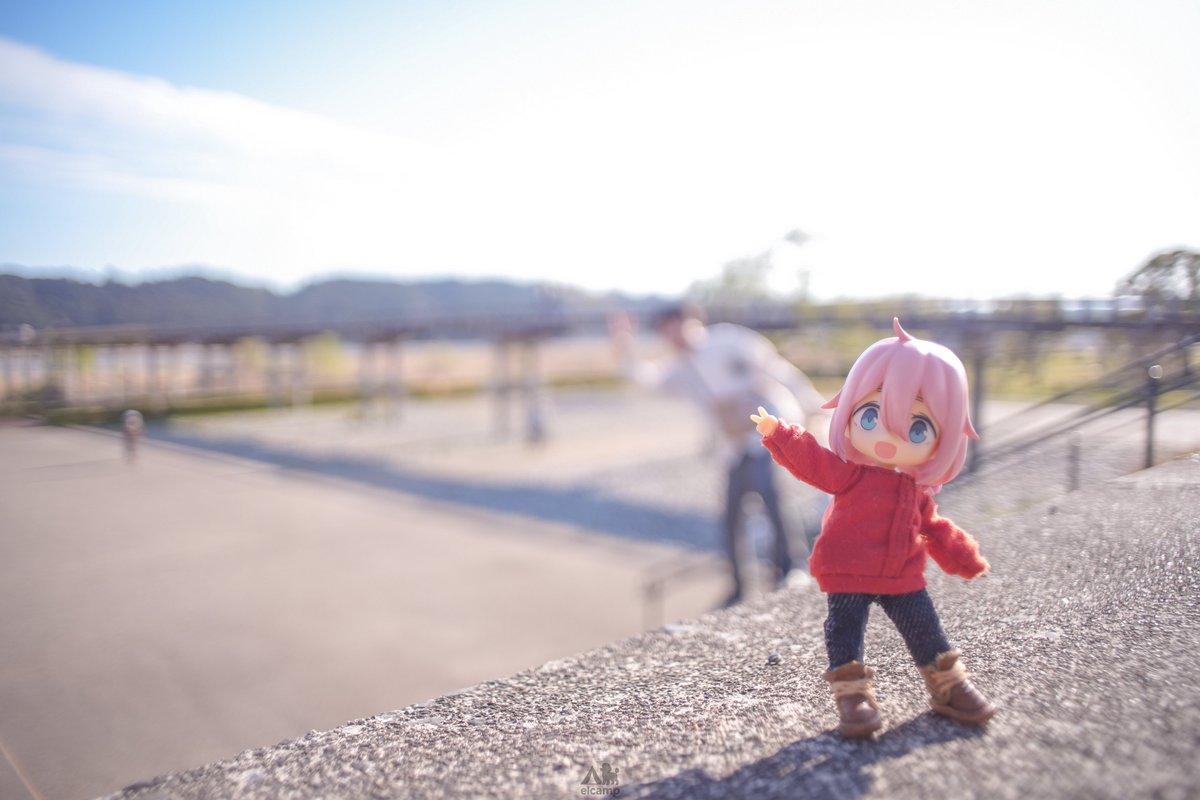 えるキャン△🐶@なでちゃん推し tweet media