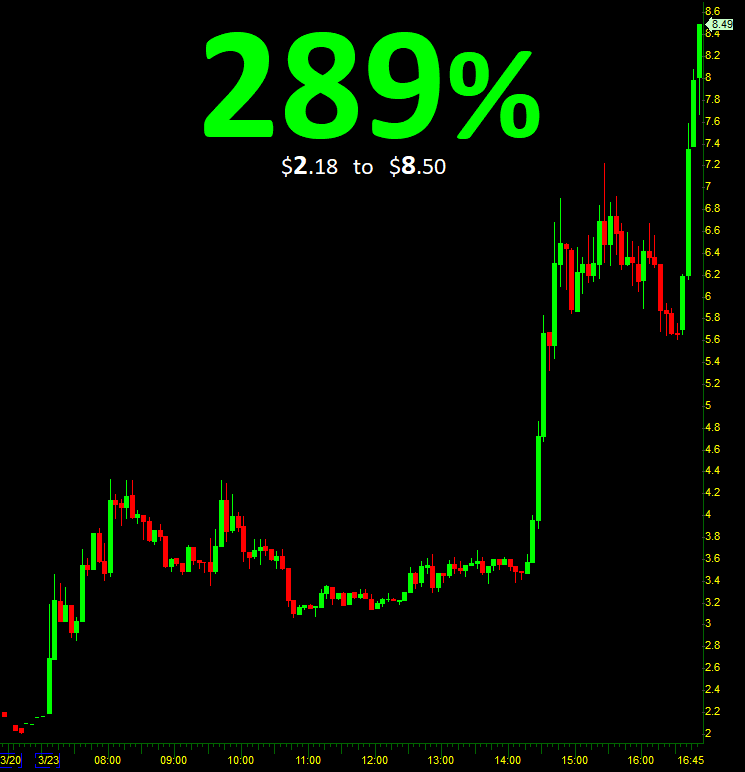 Profit Trade Room tweet media