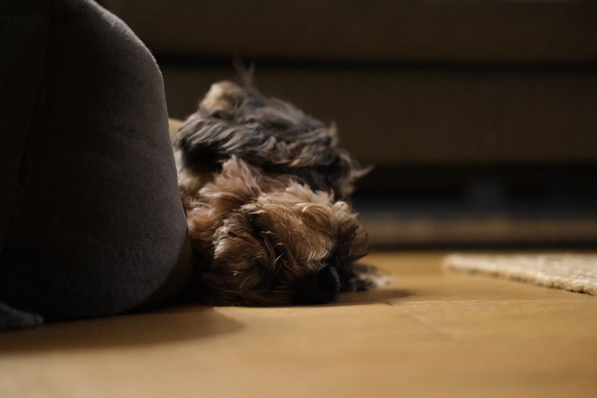 Wally Bobbers 💜 tweet media