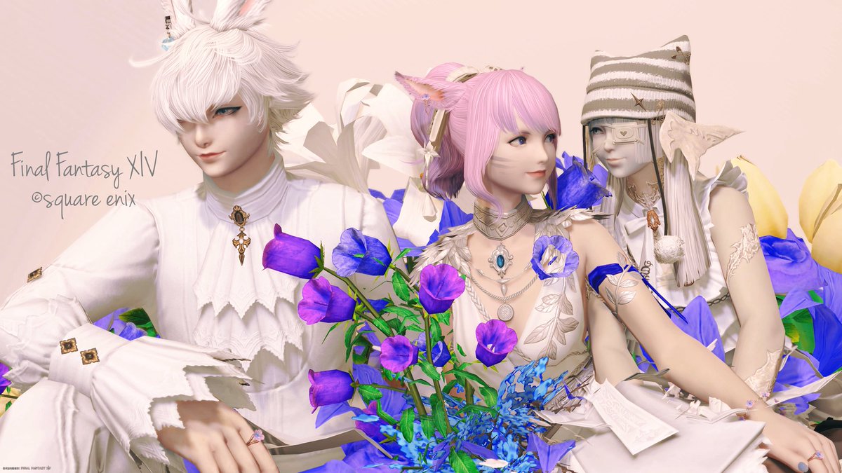 もも🍑 tweet media