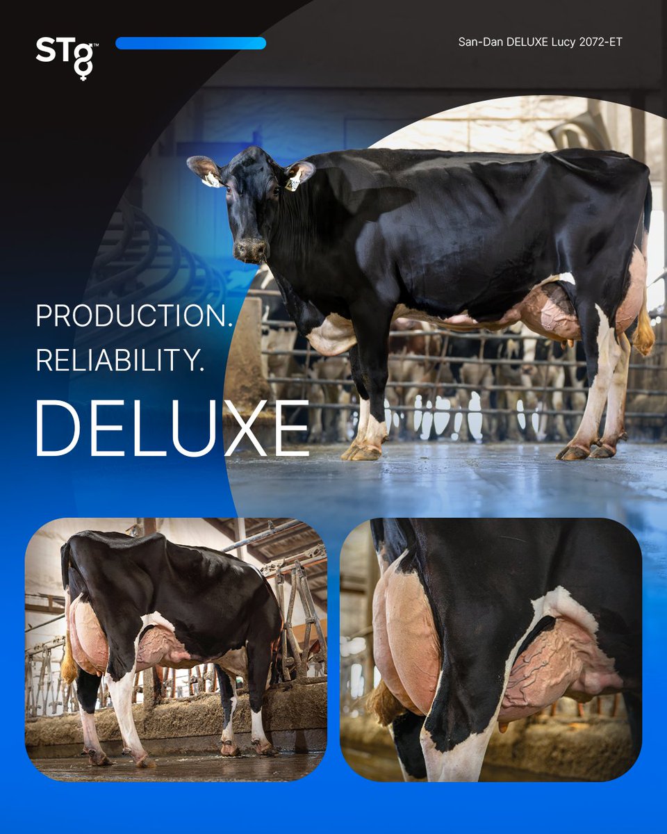 STgenetics tweet media