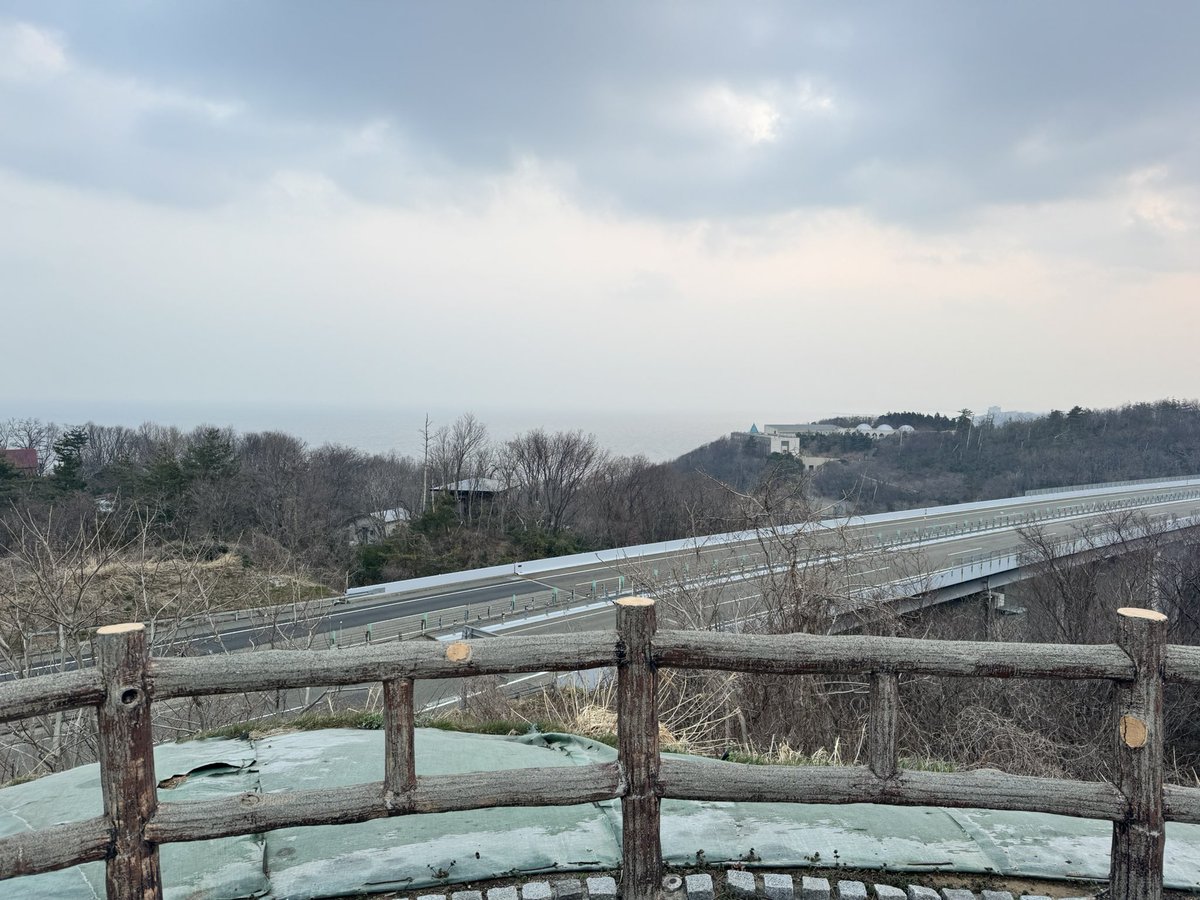 本舗みくまさ tweet media