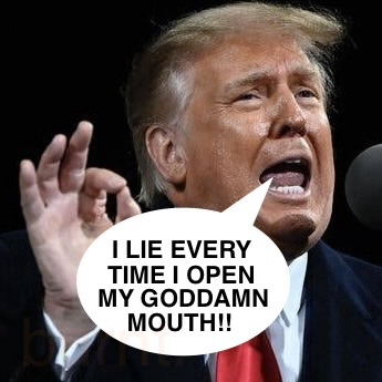 Brown Eyed Susan tweet media