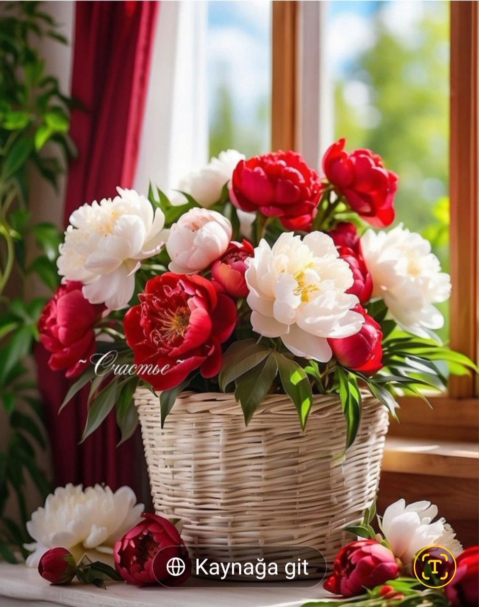 Reşit ÇİFTÇİ 🇹🇷 tweet media