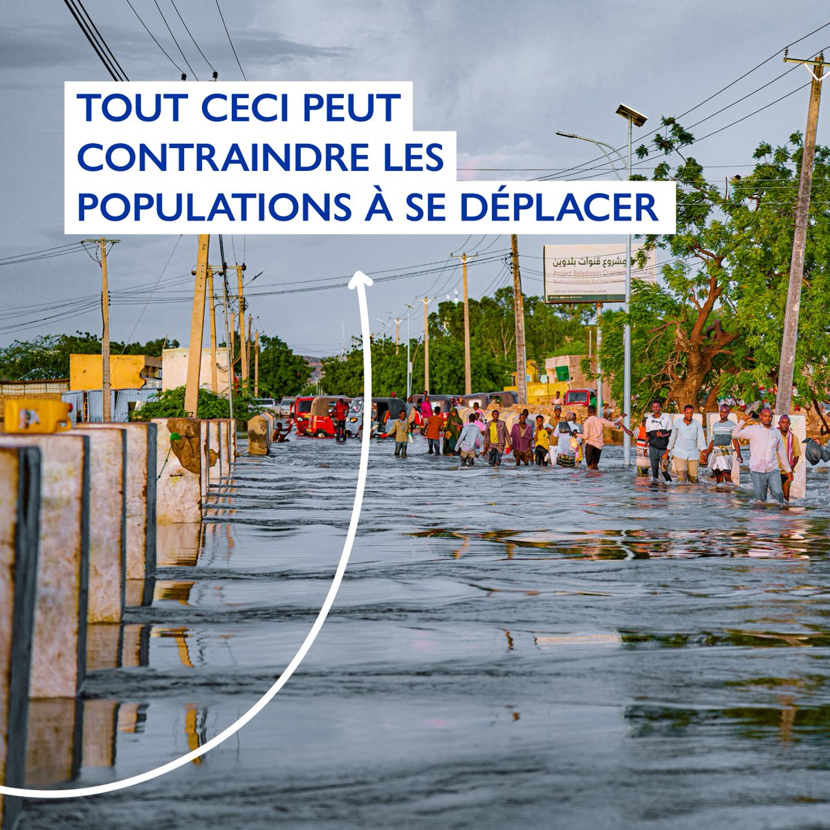 OIM Mali tweet media