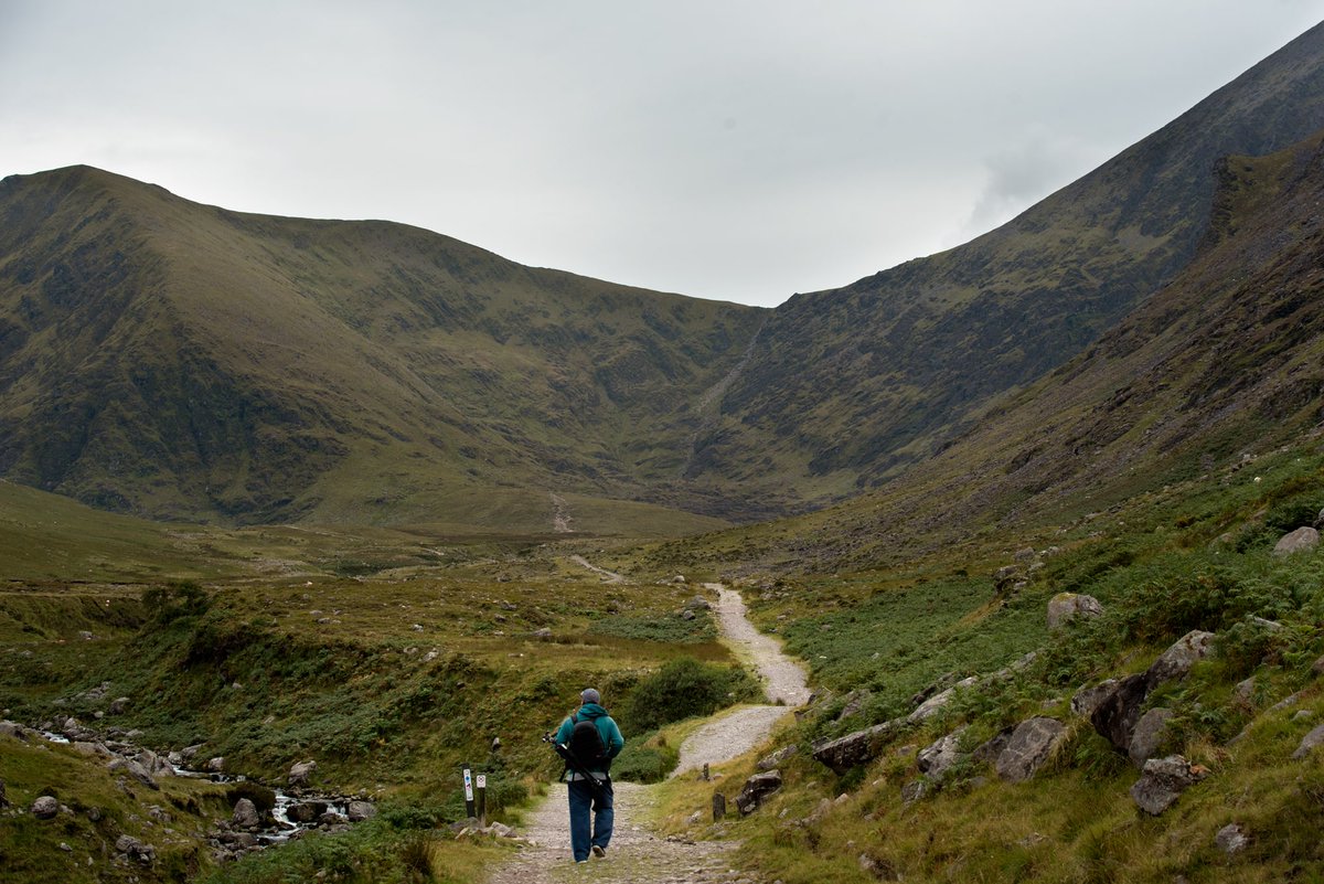 DestinationKillarney tweet media