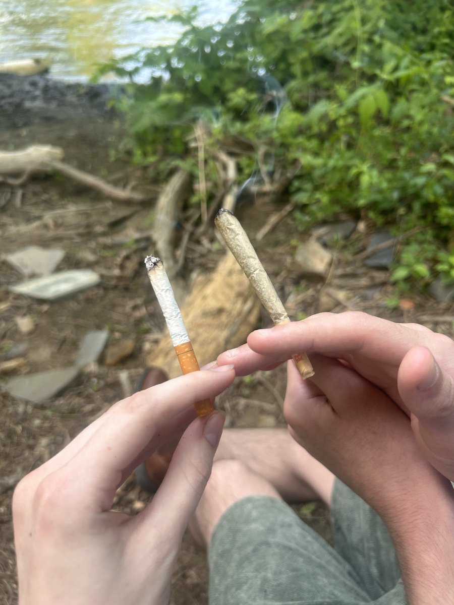 sadie 🏳️‍⚧️ tweet media