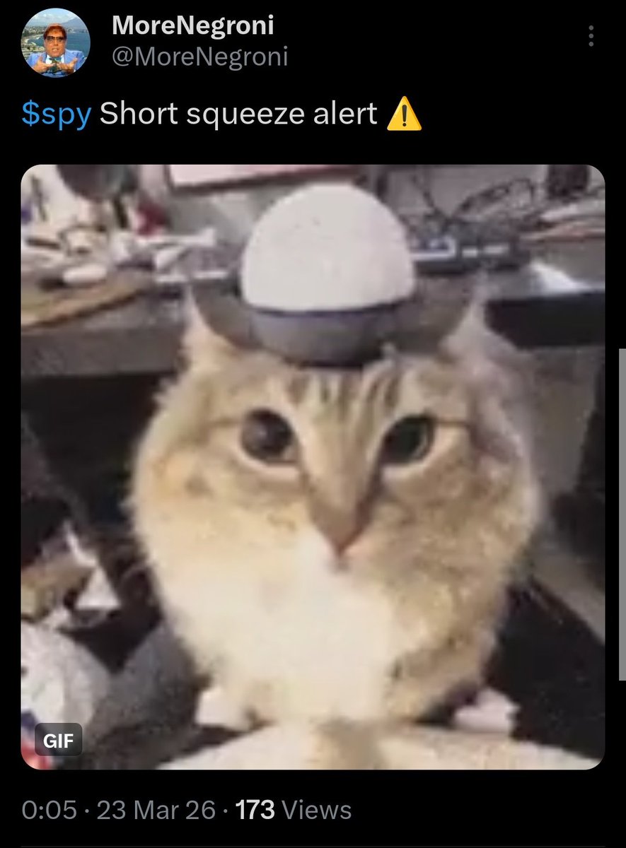 MoreNegroni tweet media