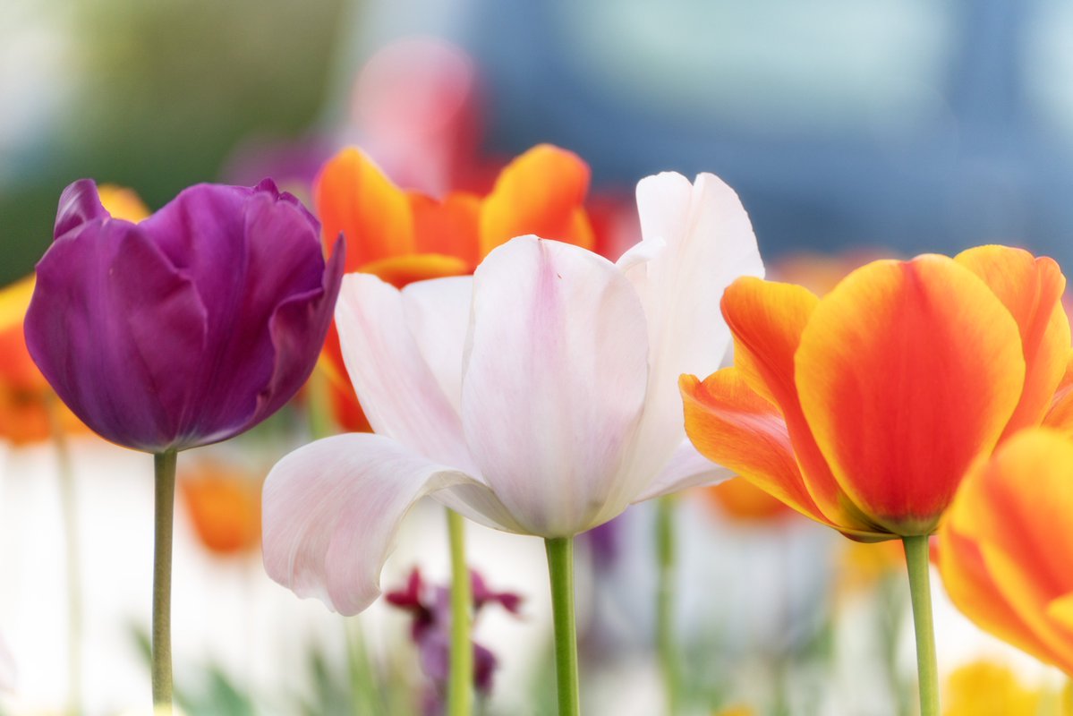 FocalZero tweet media