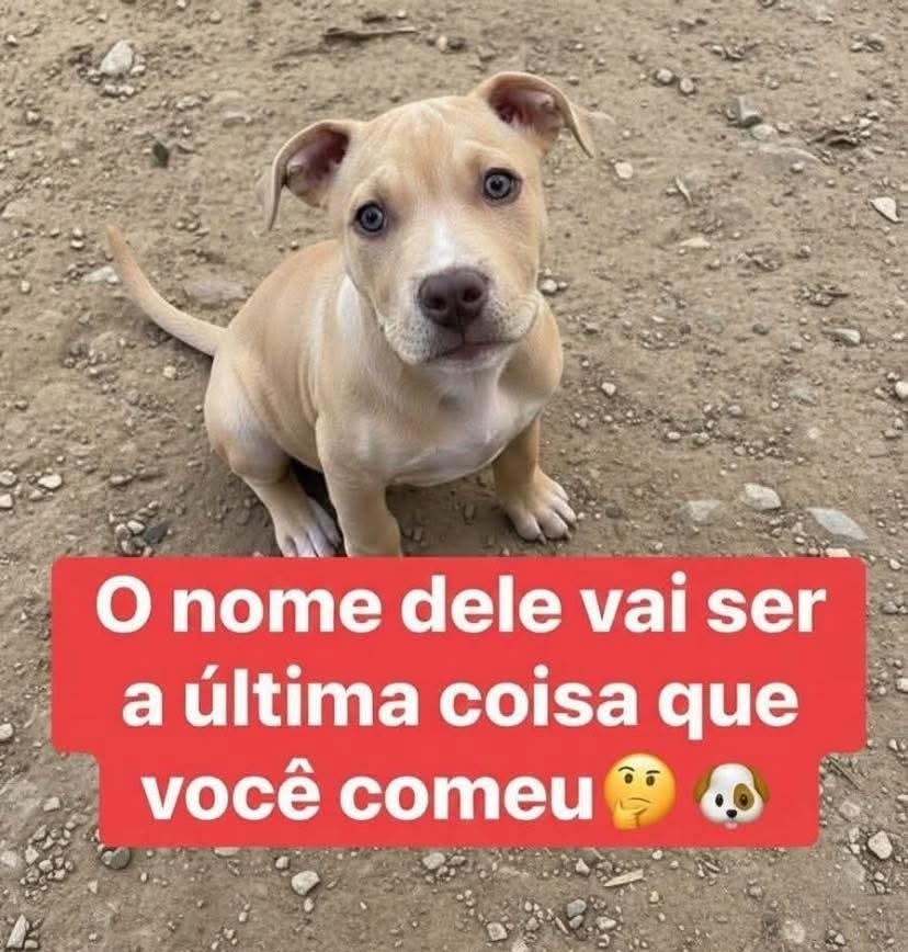 soares ᶜᵉᶜ tweet media