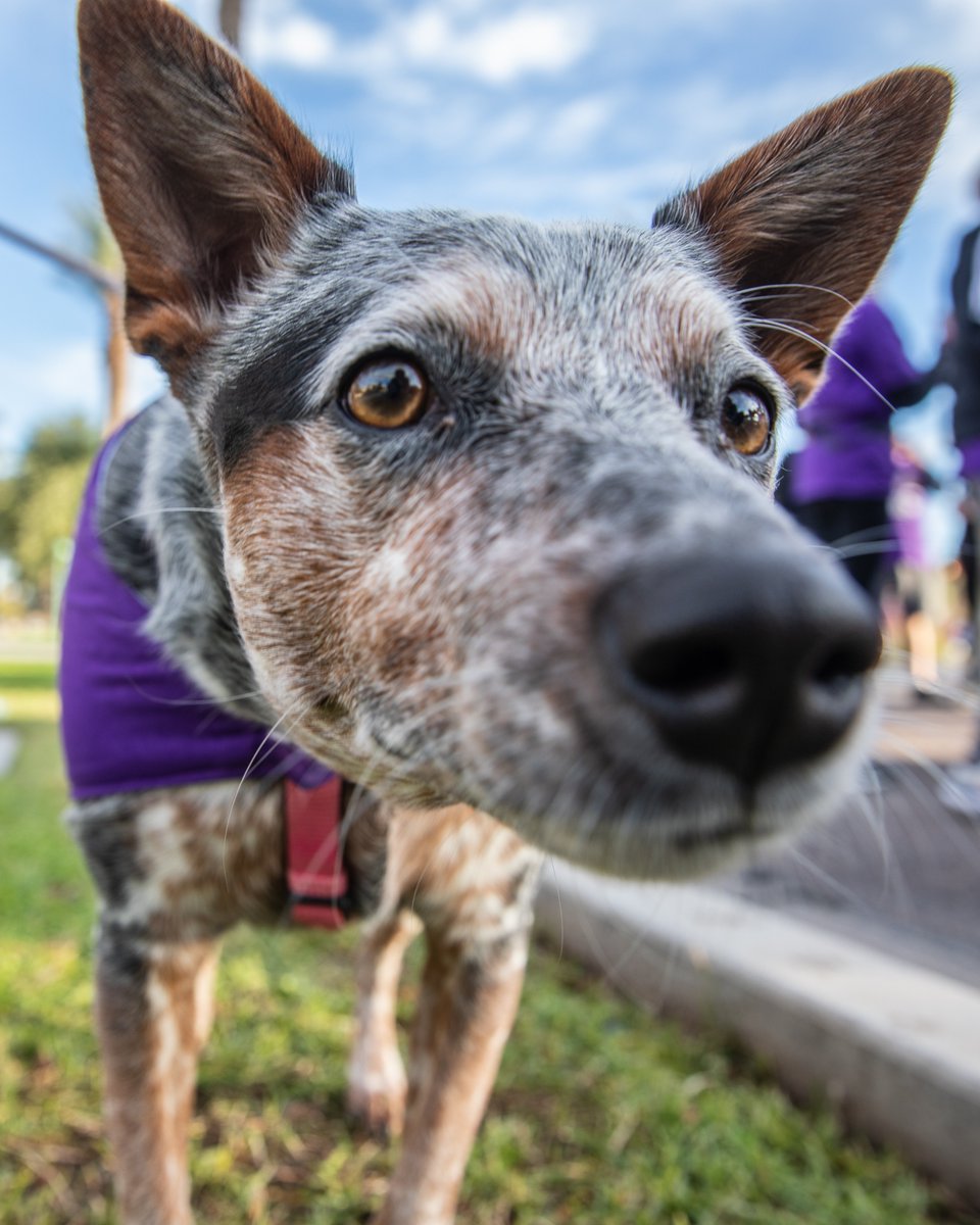 Alzheimer's Wisconsin tweet media