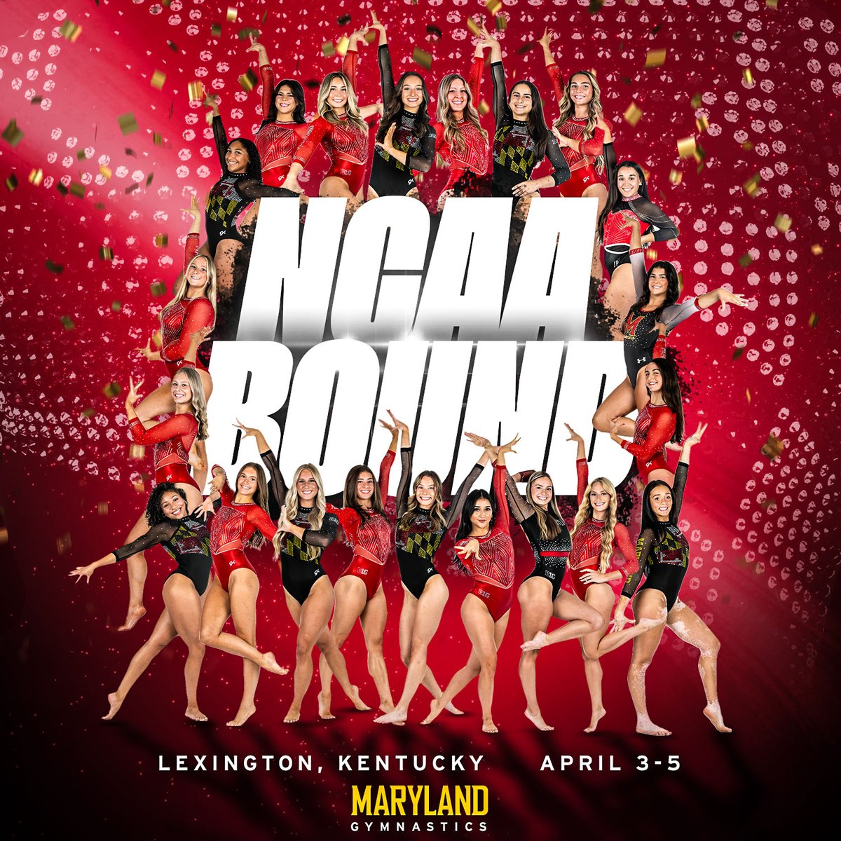 Maryland Gymnastics tweet media