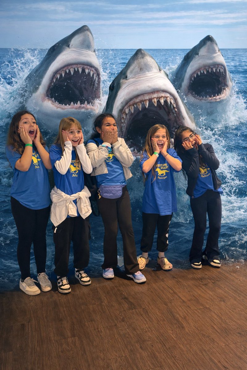 Lauren Larson tweet media