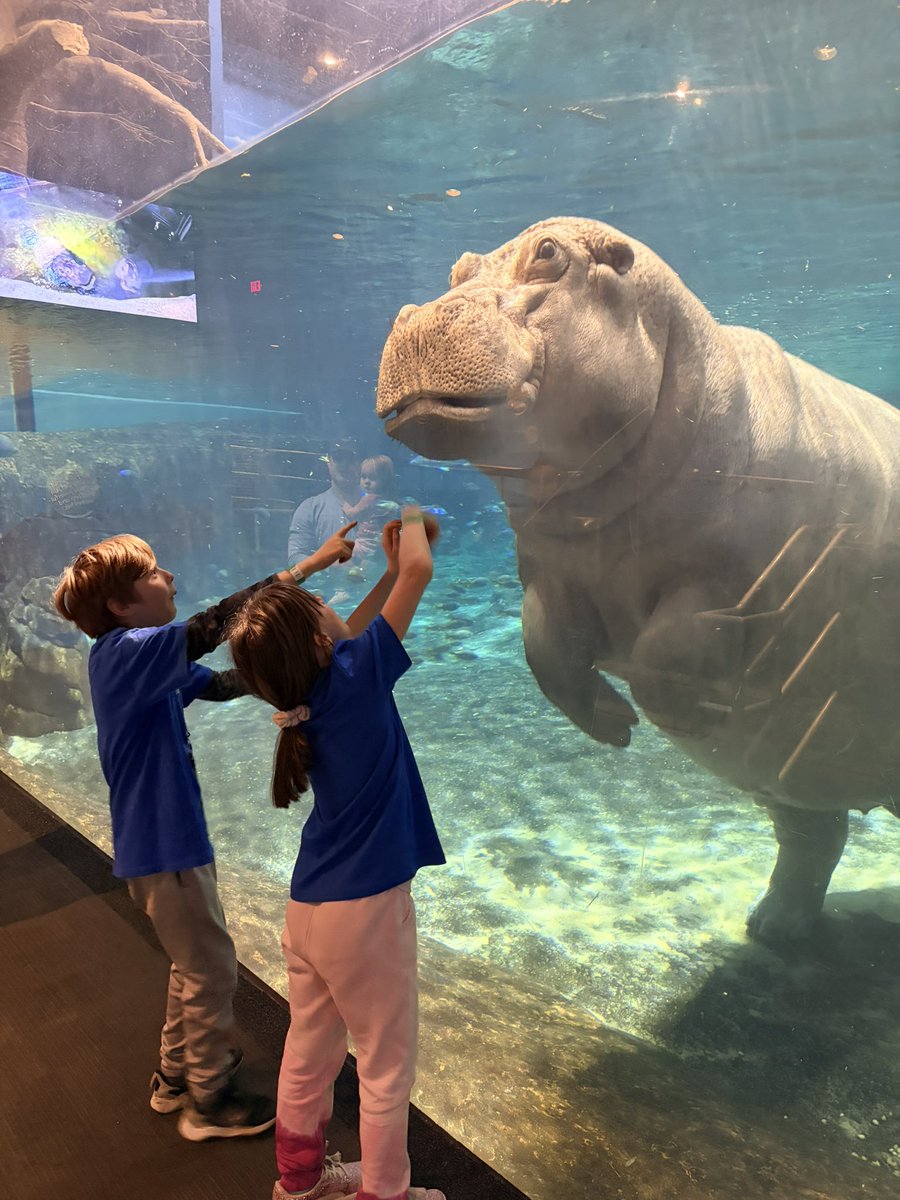 Lauren Larson tweet media