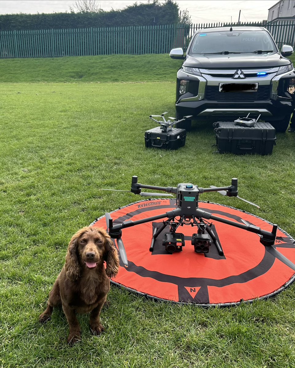 PD Roost & PD Zero 🐾 tweet media