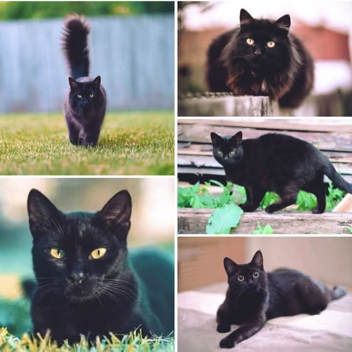 Manu Saenz💛💛 tweet media