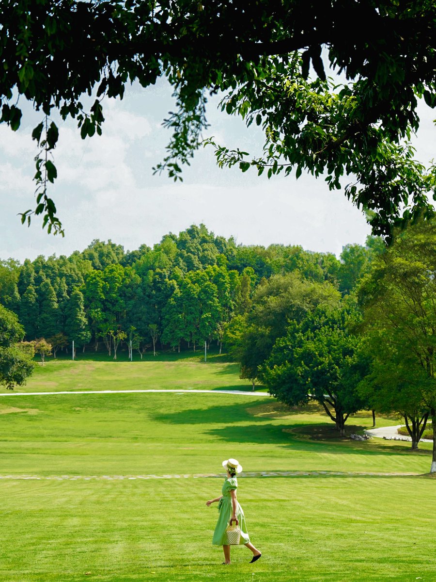 Joe Fang tweet media