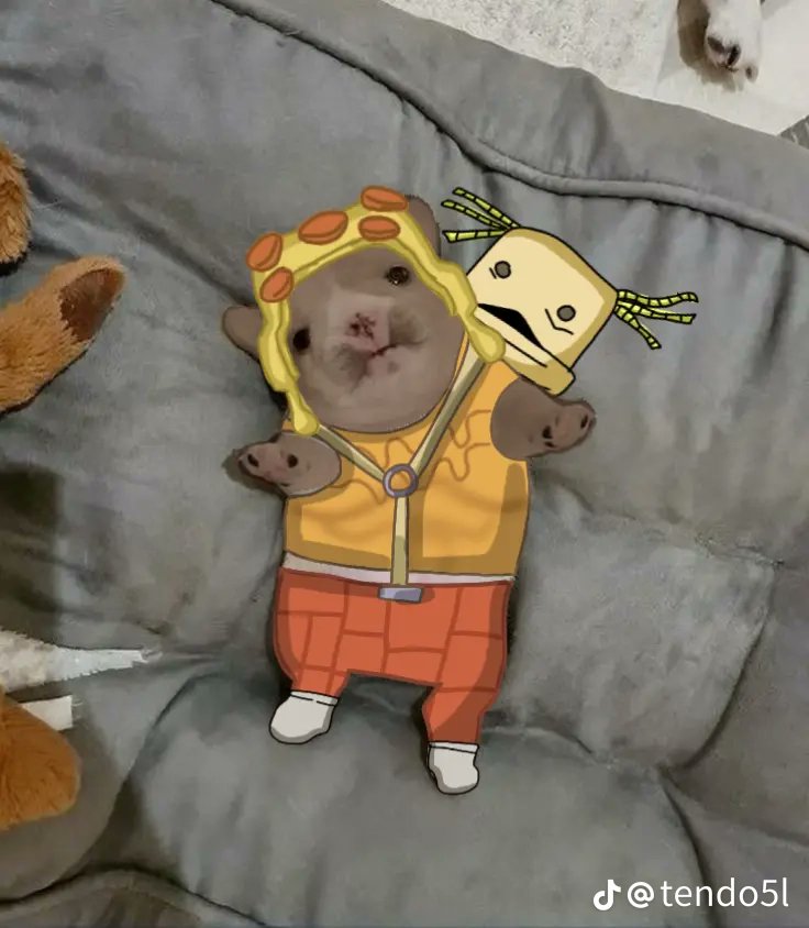 SAPARDO DEDEANDO A POLENTELME EN MADRID tweet media