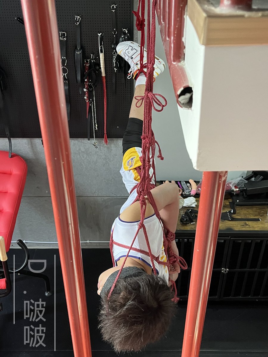 D.波波 tweet media