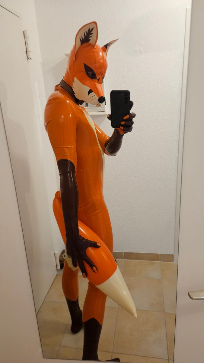 LatexFuchs tweet media