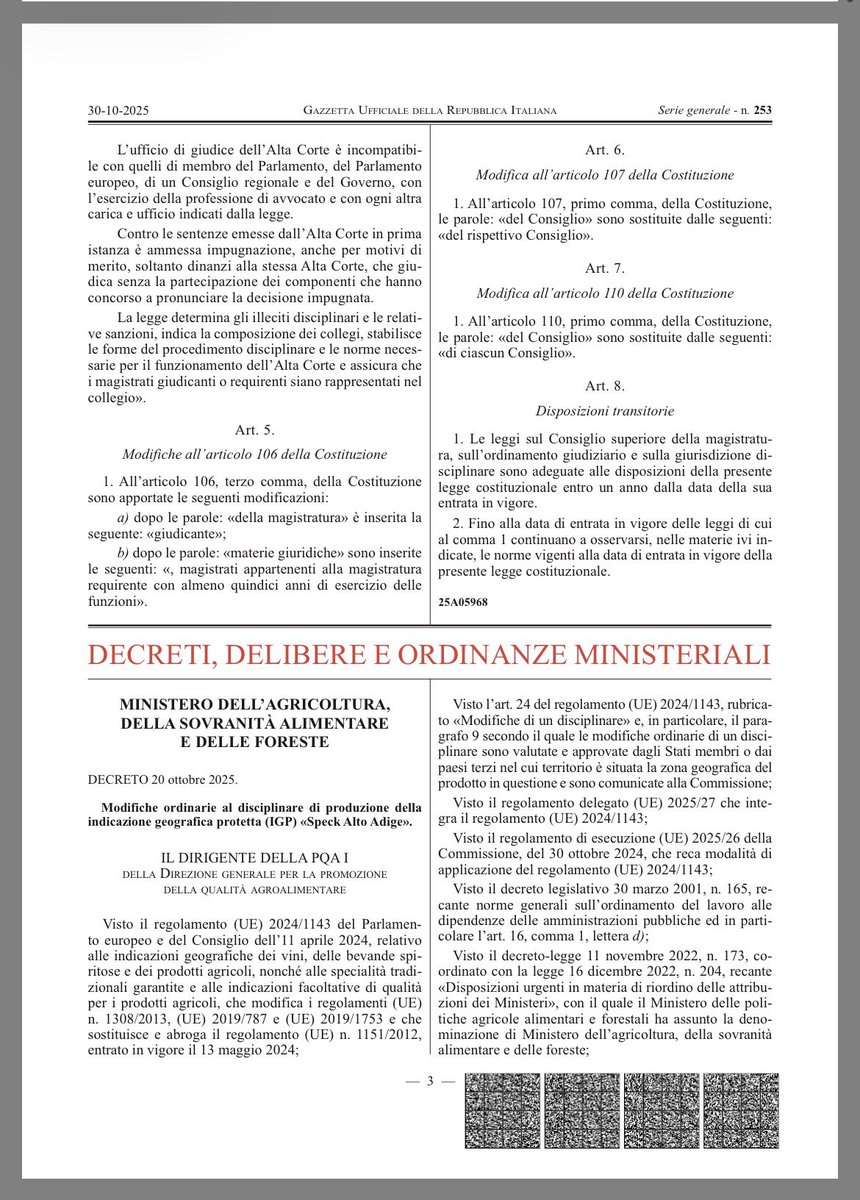 Mi gioco le palle che quelli che hanno votato no e hanno scritto dopo il referendum: “Meloni a casa”, “Fascisti a casa”. Non hanno letto una beata ceppa di quello che prevedeva il referendum.