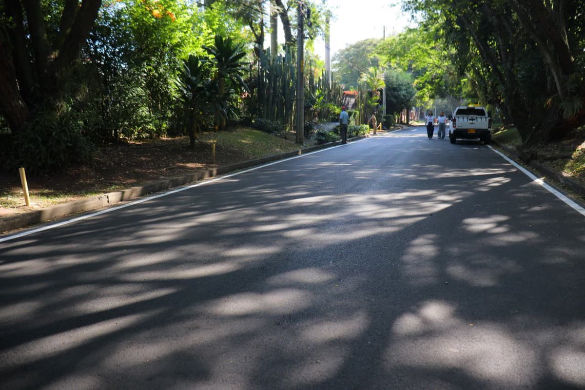 Alejandro Eder tweet media