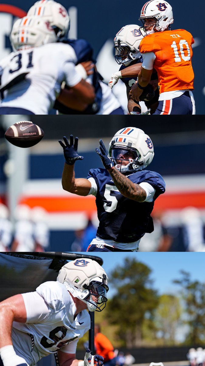 Auburn Football tweet media