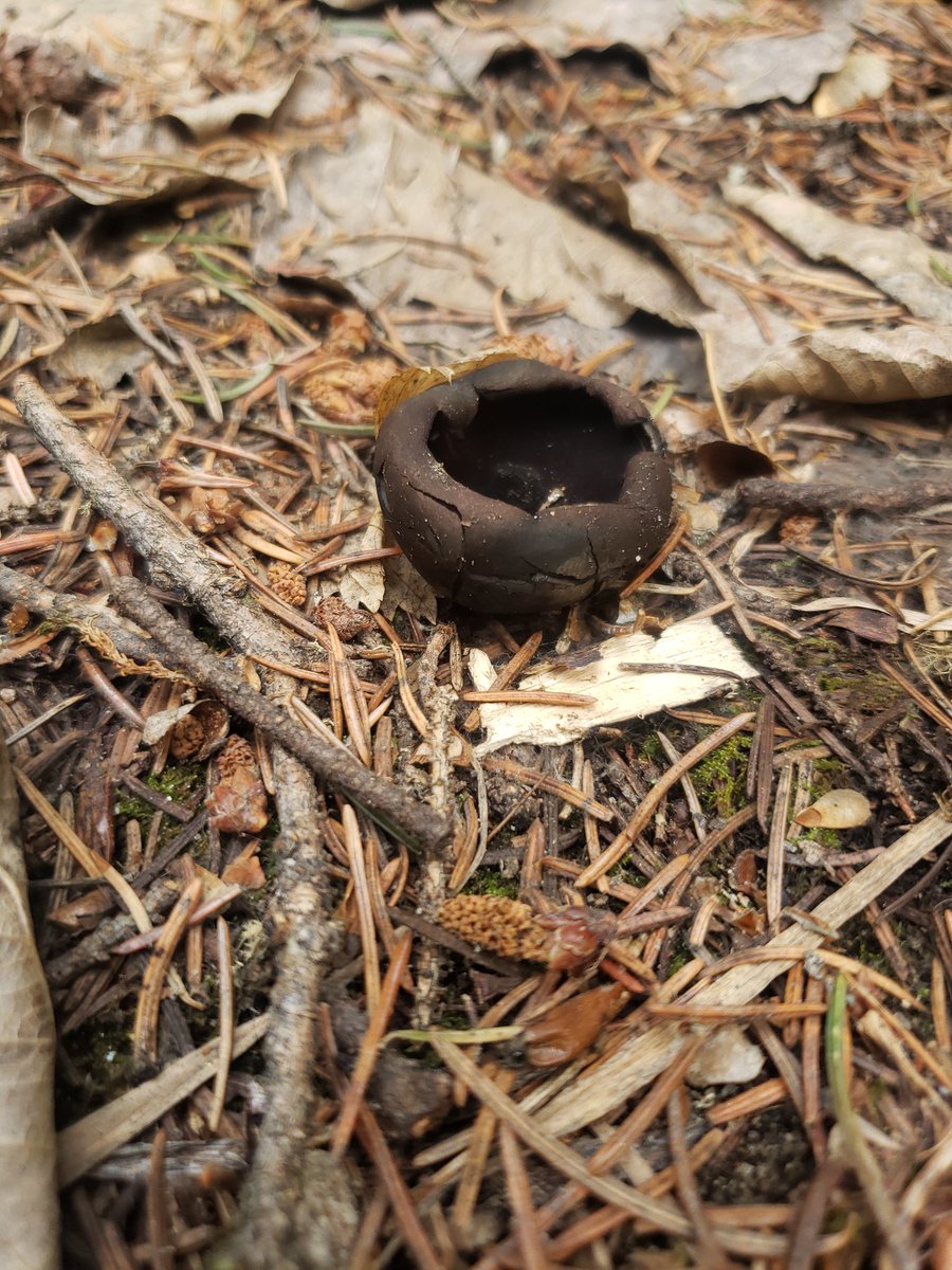 MT Thoughts tweet media