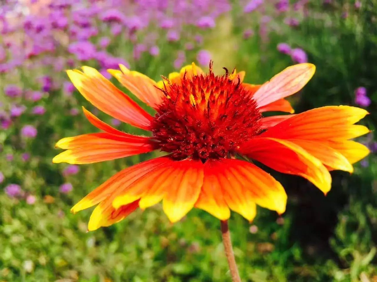 POIRION JACQUELINE tweet media