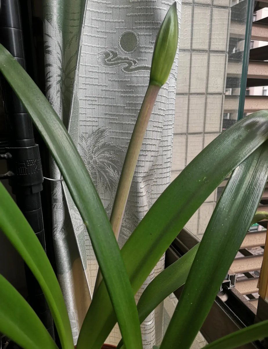 Teal Olsen Gill tweet media