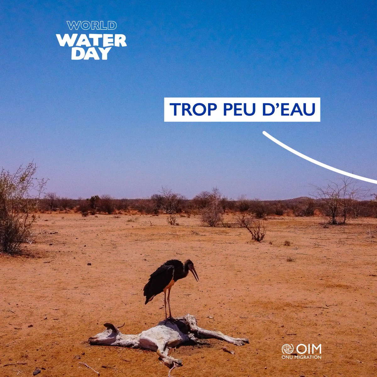 OIM Mali tweet media