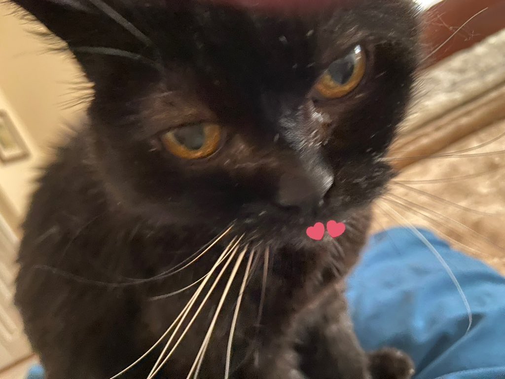 SqueakynBB tweet media