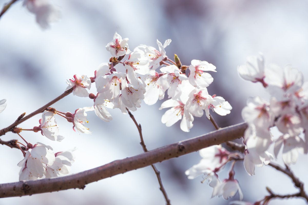 えこちん📸🐳✨ tweet media