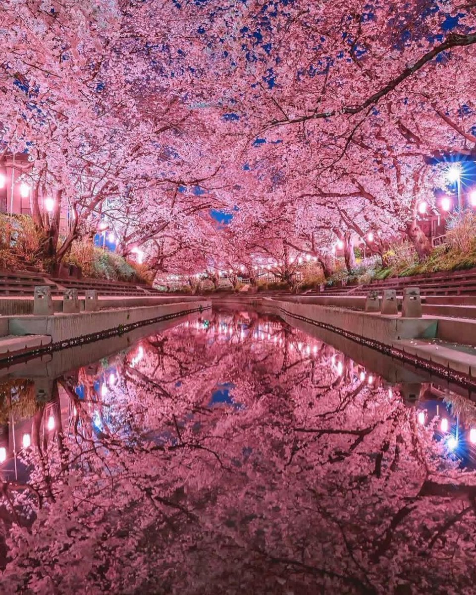 Hasuda RT @CityScapesNC: Saitama Prefecture, Japan 🇯🇵