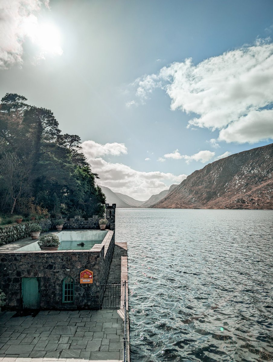 David Kerr tweet media