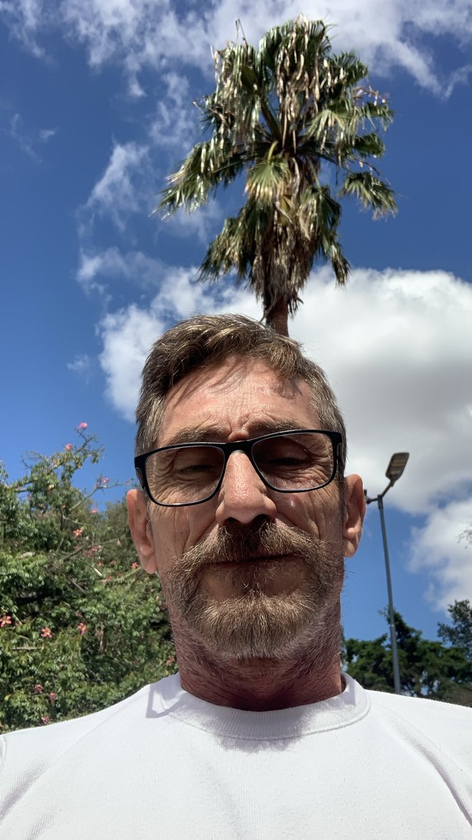 @medioPotro tweet media