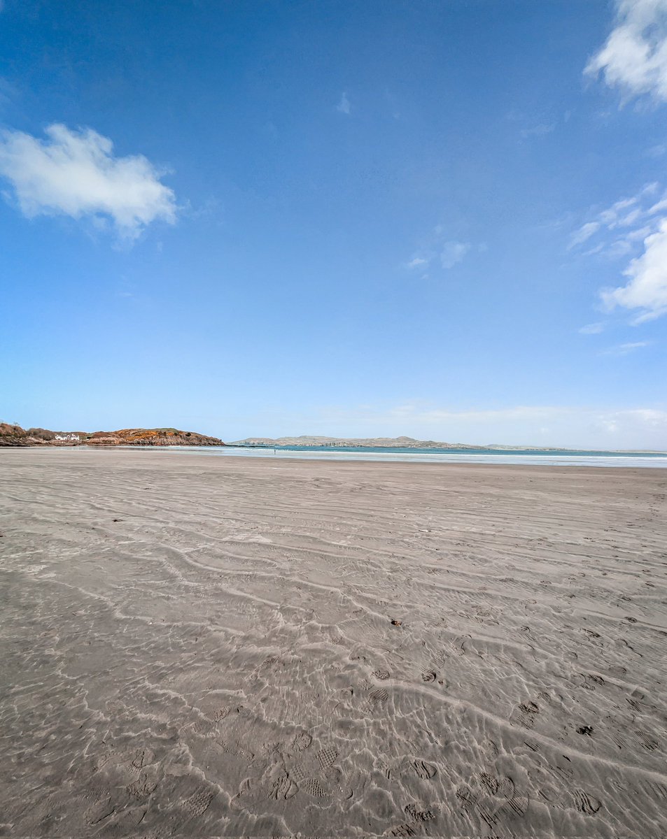 David Kerr tweet media