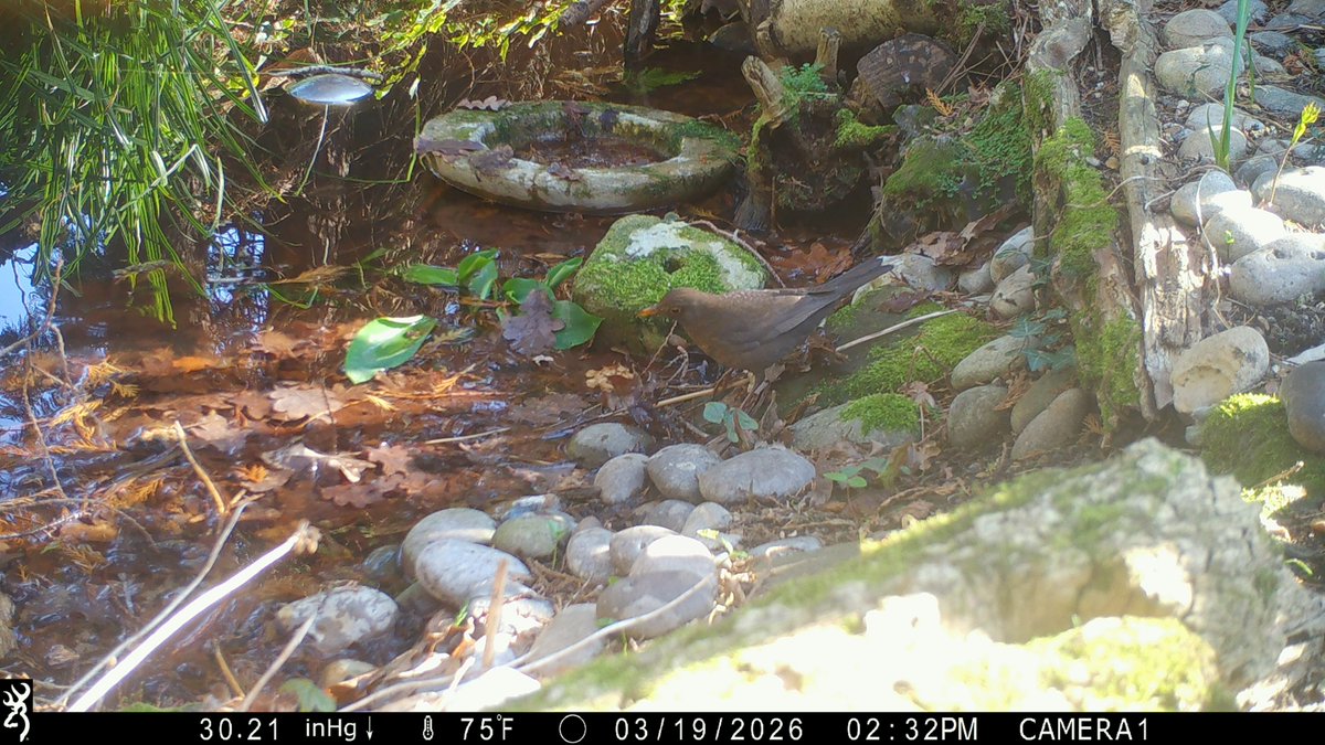 David Turner tweet media