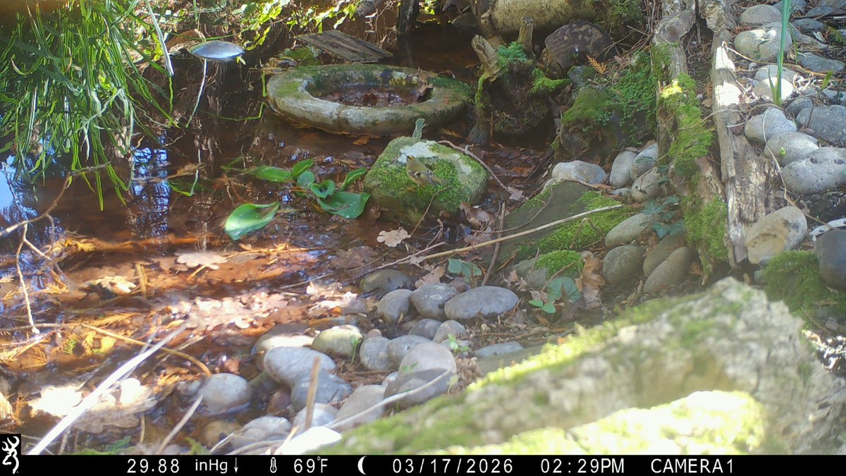 David Turner tweet media