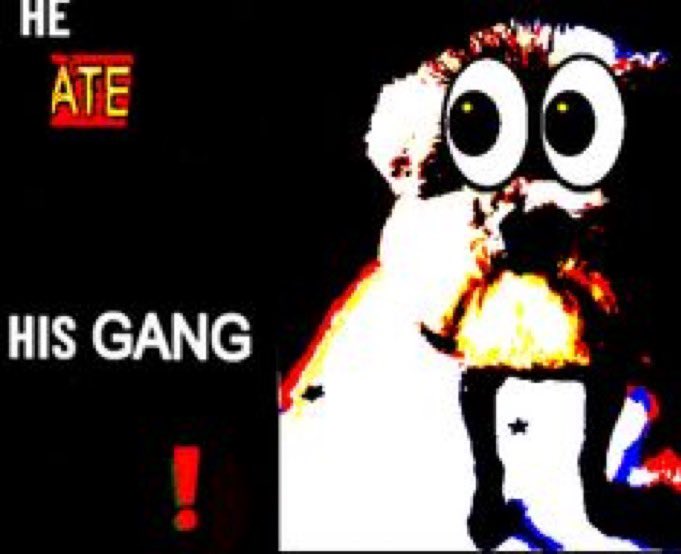 Daily Human i remember you’re tweet media