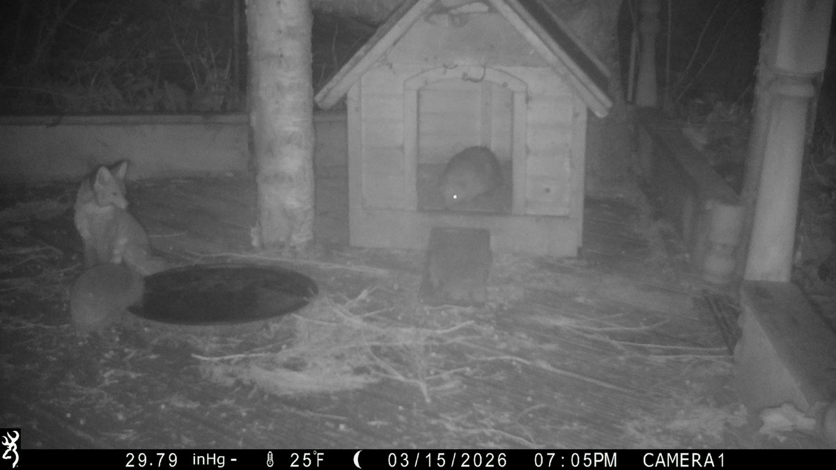 David Turner tweet media