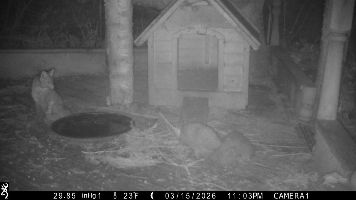 David Turner tweet media