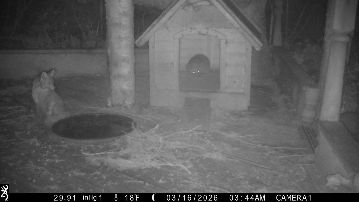 David Turner tweet media