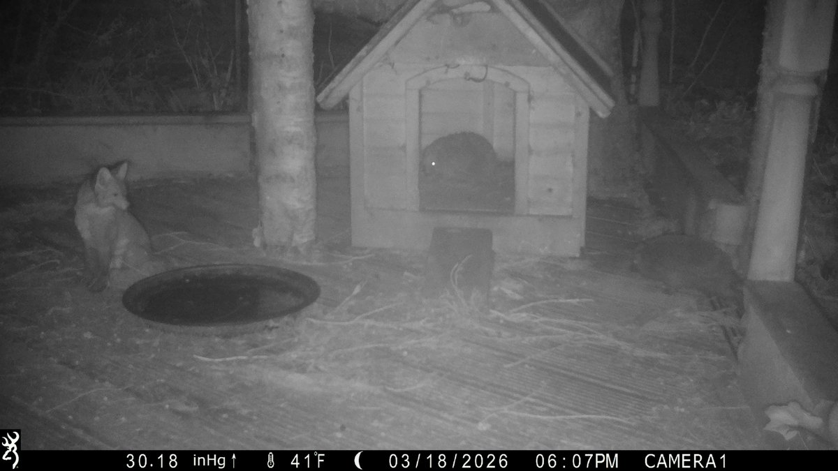 David Turner tweet media