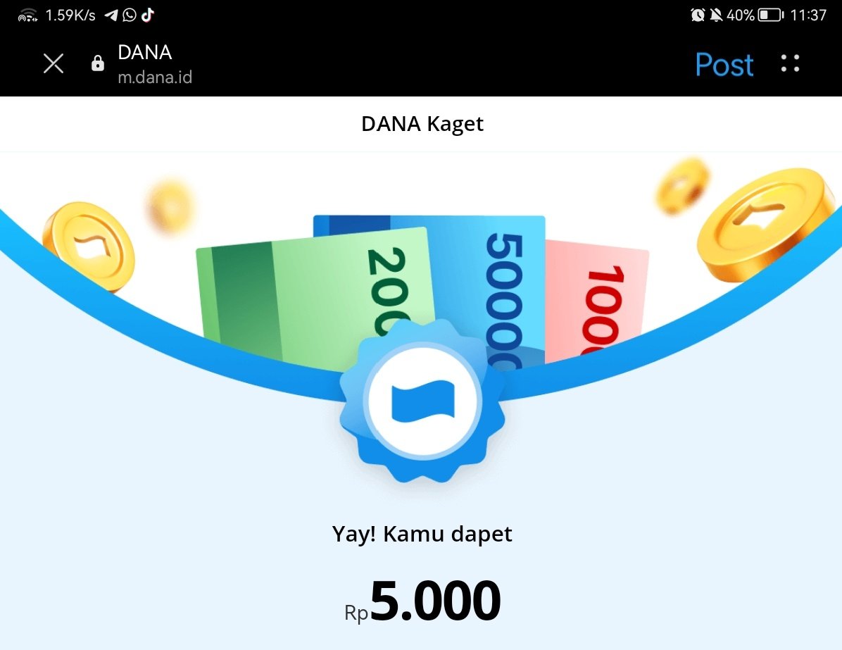 Karin Erina tweet media