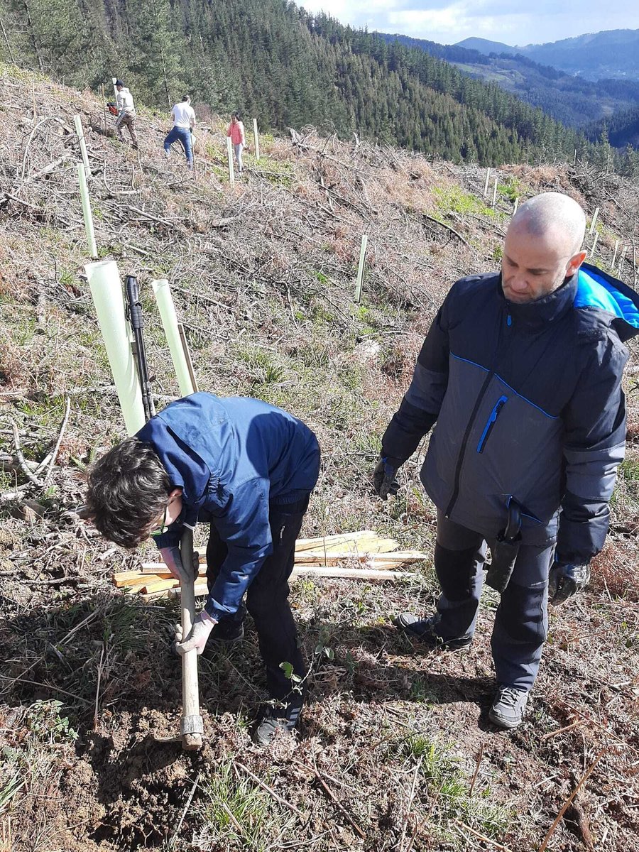 Gorabide tweet media