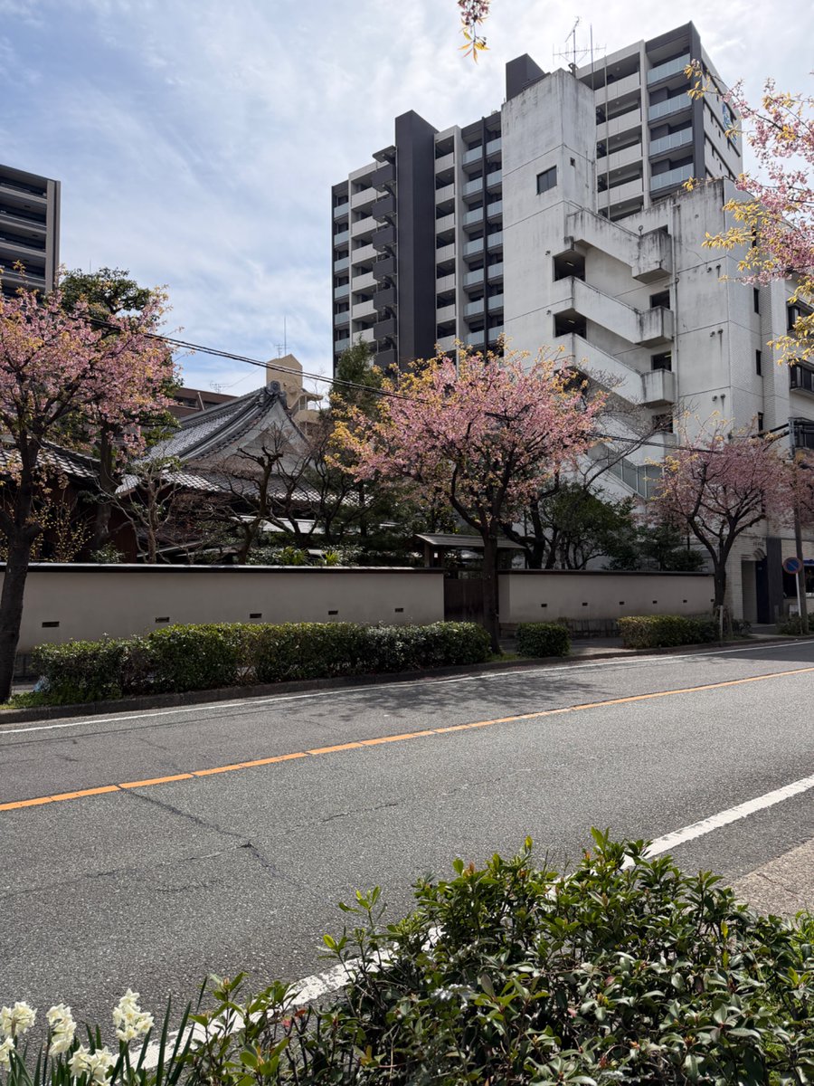 未来建築研究所株式会社 tweet media