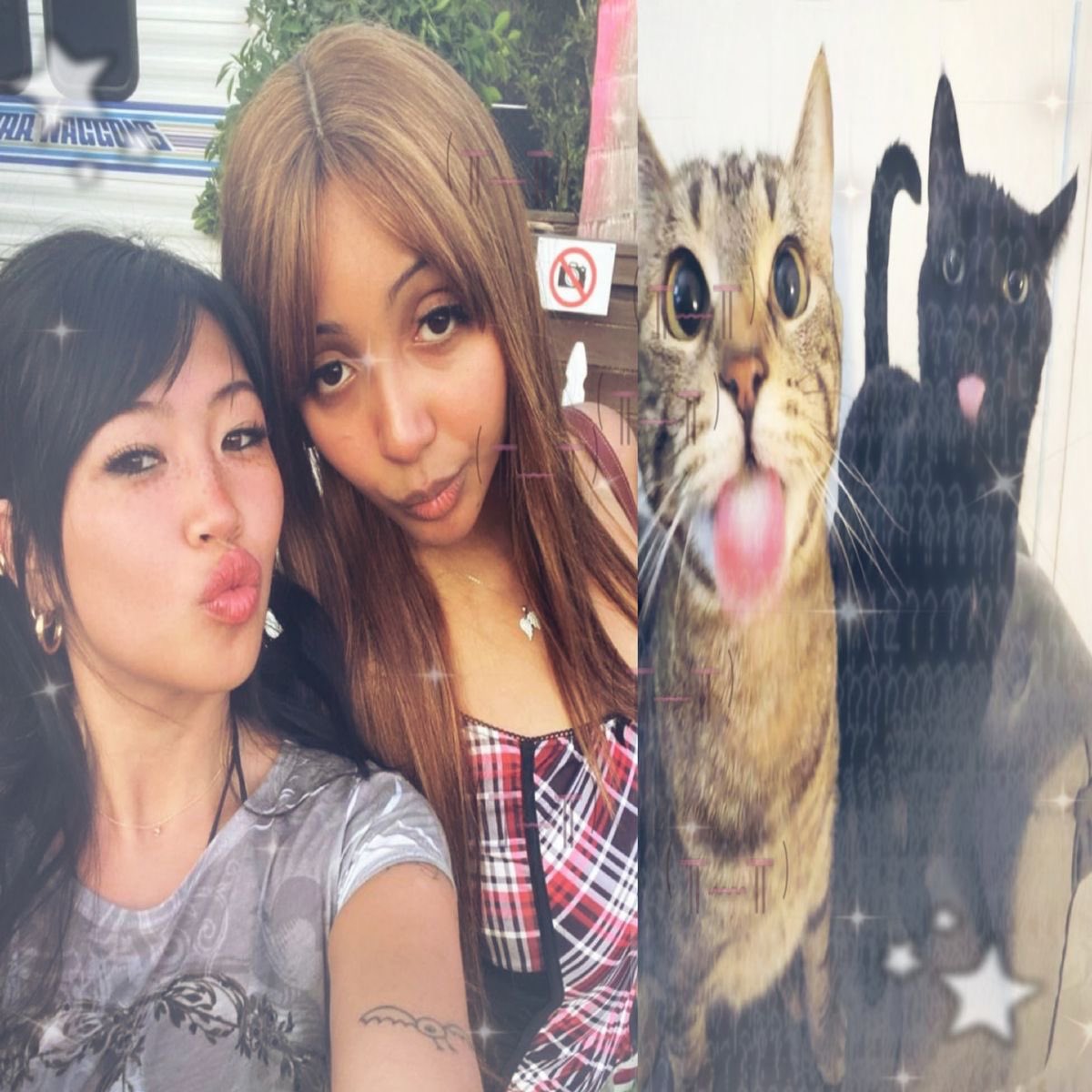 aly . ݁₊ ⊹ ᯓ★ tweet media